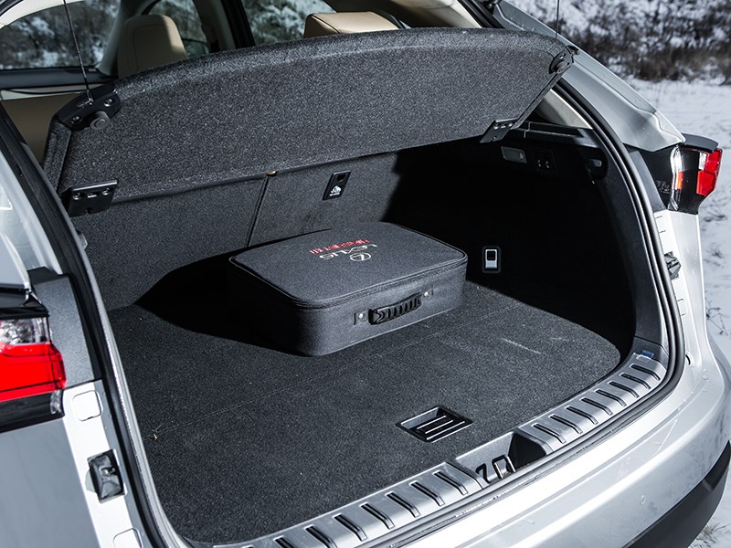 Lexus NX 300h AWD 2015 багажное отделение