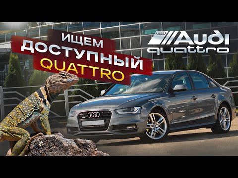 Анонс видео-теста Жива ли Audi A4 B8 quattro?