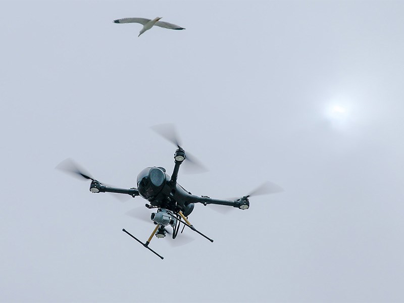 Анонс тест-драйва В Porsche придумали, как прокачать водительские навыки