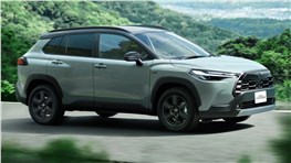Китайский авторынок почти полностью перешел на электромобили