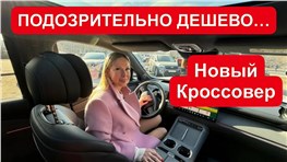 НОВЫЙ КРОССОВЕР С ГЕНАМИ ТОЙОТА. УБИЙЦА ЛИСЯН