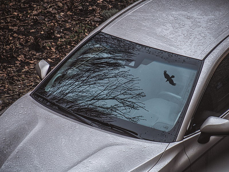 Анонс тест-драйва С января штрафы за тонировку коснутся всех автомобилей