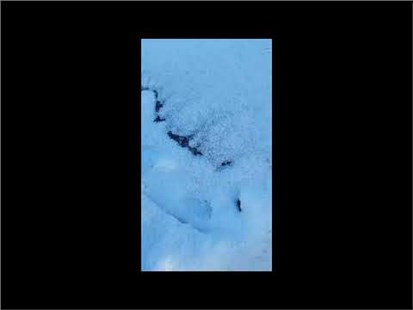 Анонс видео-теста прогреваем BMW и Chery в минус 15