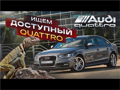 Анонс видео-теста Жива ли Audi A4 B8 quattro?