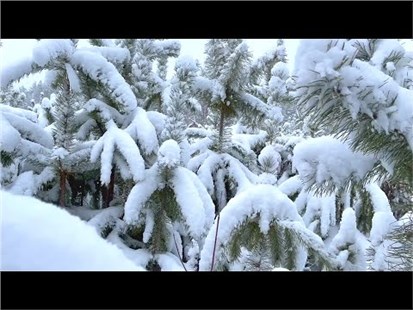 Анонс видео-теста Heavy Snowfall Naberezhnye Chelny