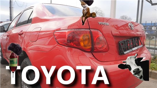 Анонс видео-теста Toyota Corolla (Тойота Королла)