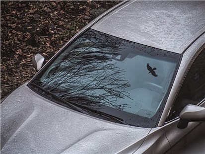 Анонс тест-драйва С января штрафы за тонировку коснутся всех автомобилей