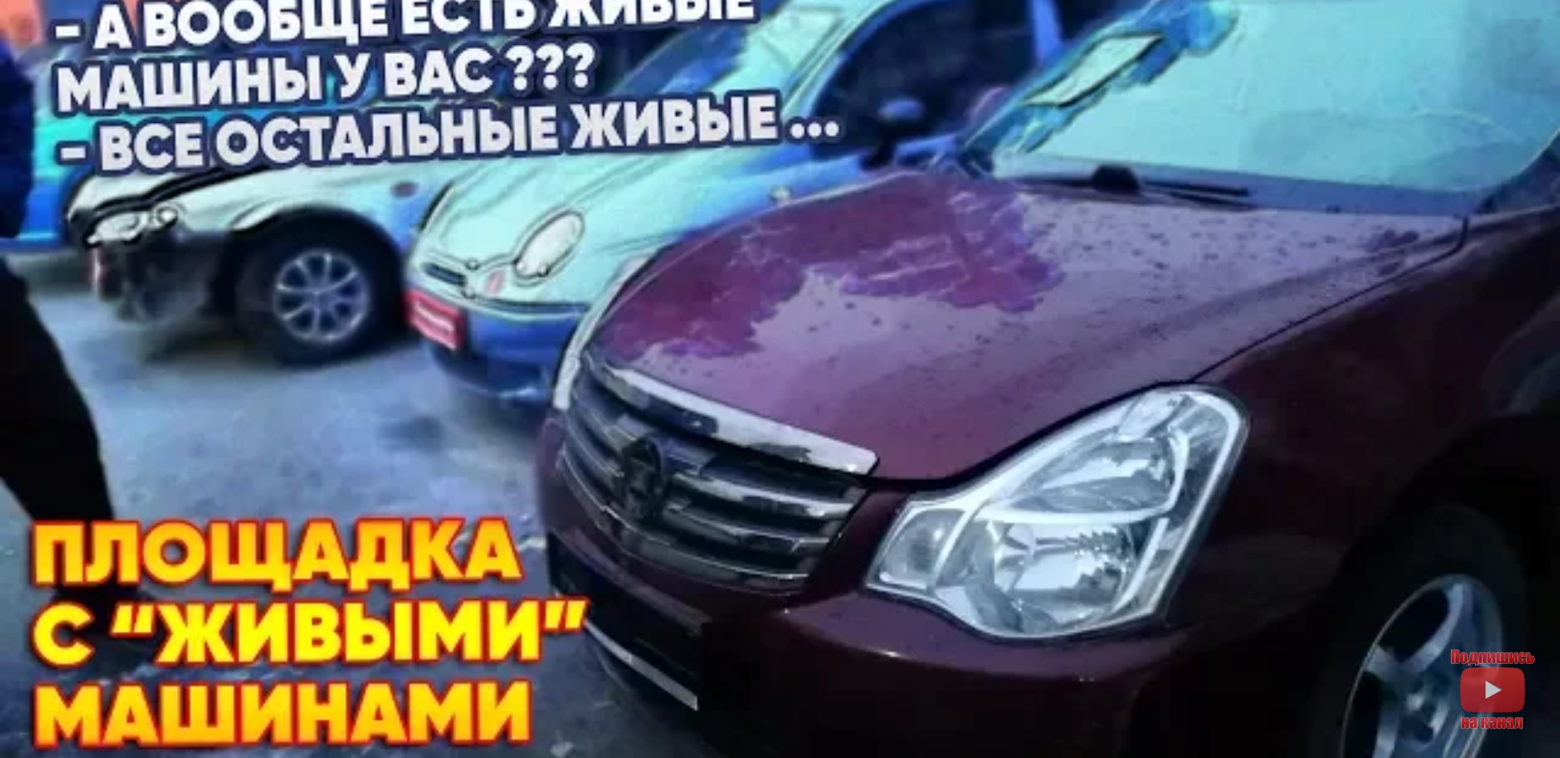 Анонс видео-теста Площадка с "живыми" машинами.