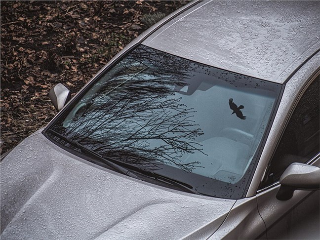 С января штрафы за тонировку коснутся всех автомобилей