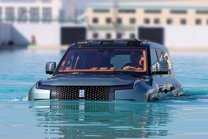 Из жизни водоплавающих
