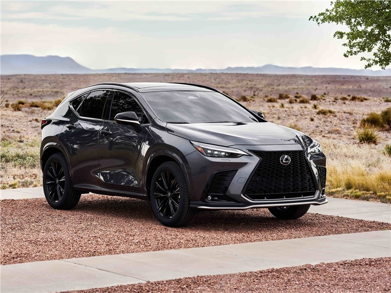 Lexus NX (2022) вид спереди