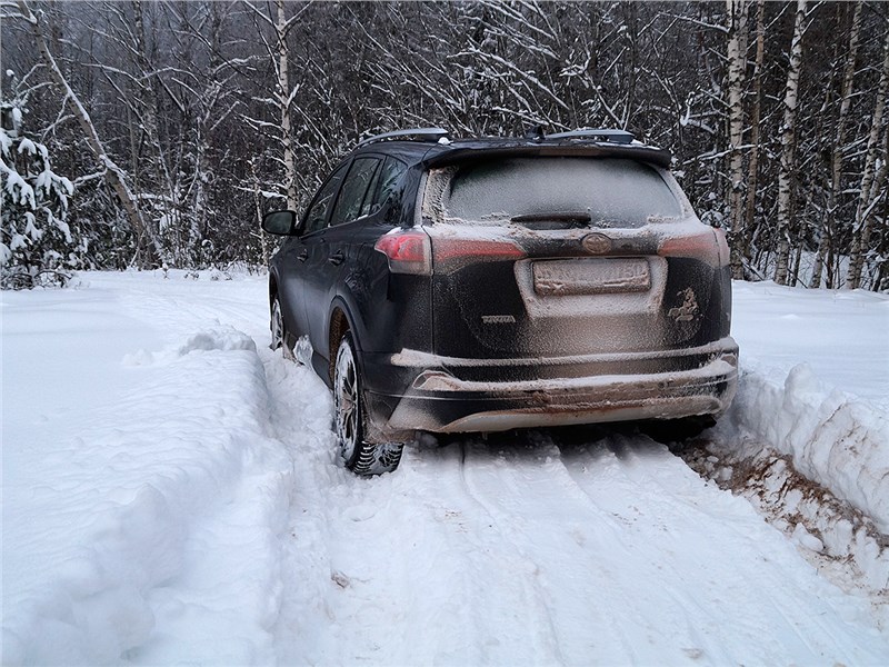 Toyota RAV4 2016 вид сзади