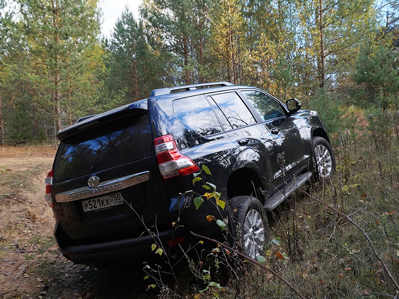 Toyota Land Cruiser Prado 2014 вид сзади