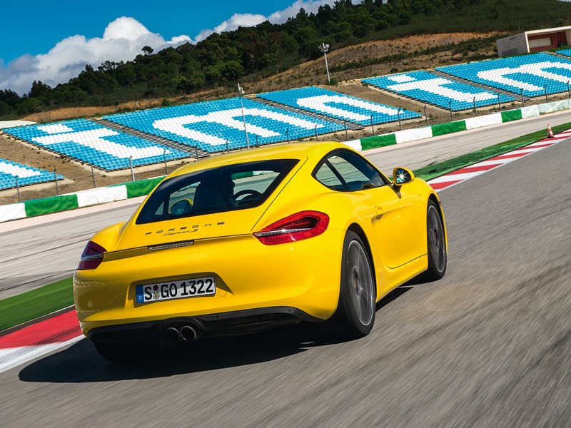 Porsche Cayman 2013 вид сзади