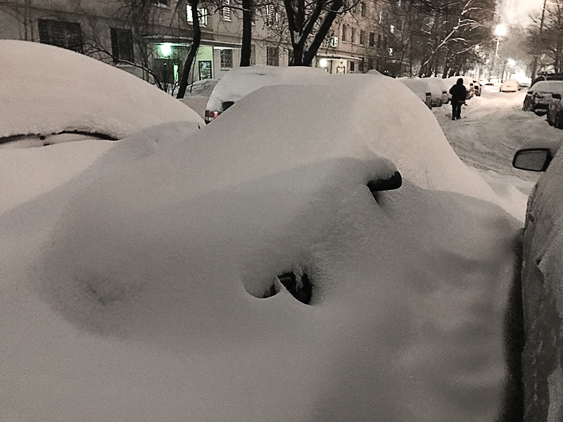 Как распознать «подснежника»?