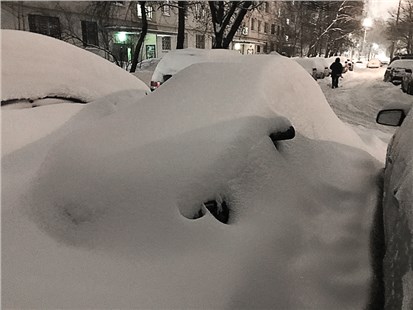 Как распознать «подснежника»?