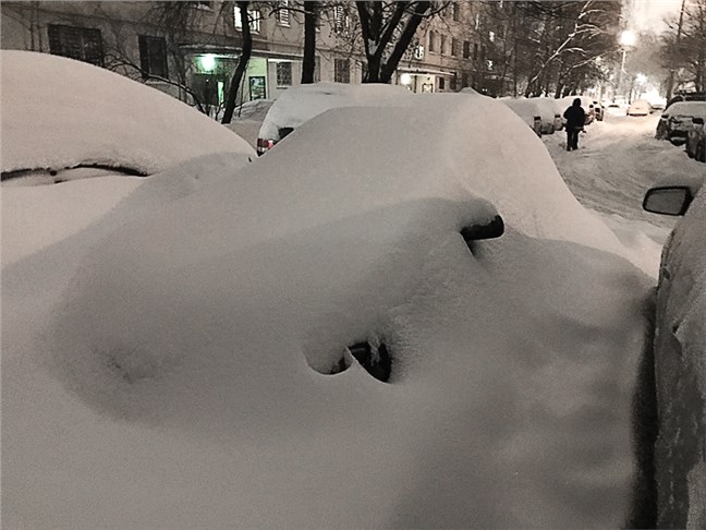 Как распознать «подснежника»?