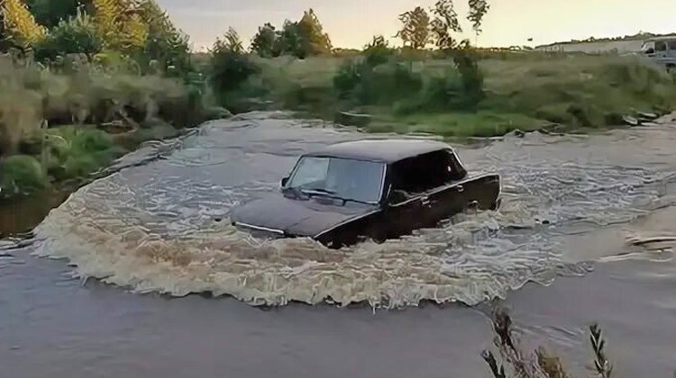 По самые помидоры
