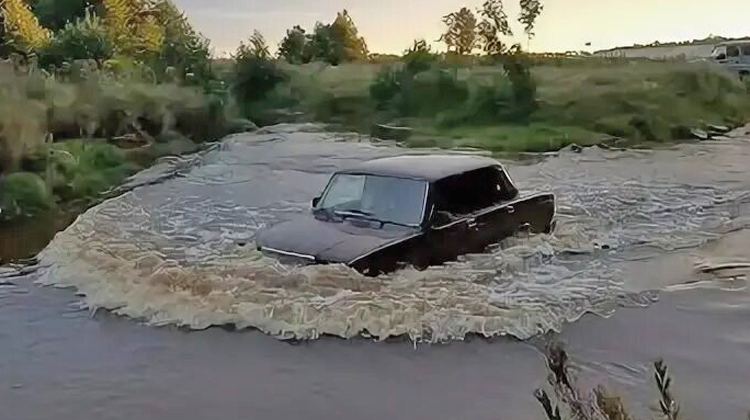 По самые помидоры
